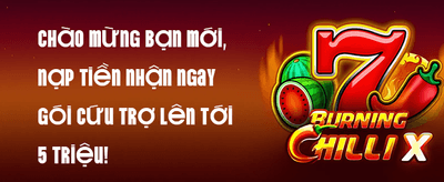 Trở Thành Đối Tác Chiến Lược Cùng VNDA88