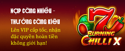 Đại lý DA88 chính thức